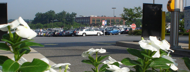 Baltimore Location Photo